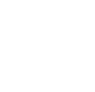 Webwiz Logo